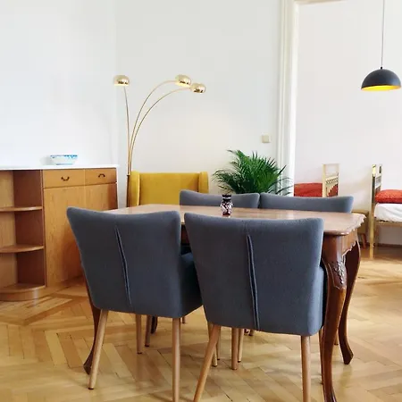 Big Vintage Style Flat Near Schonbrunn Apartment