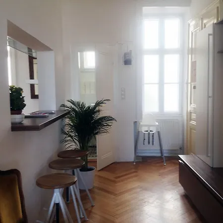 Apartment Big Vintage Style Flat Near Schonbrunn