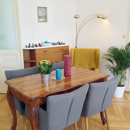 Big Vintage Style Flat Near Schonbrunn Apartment Vienna