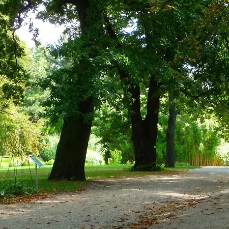 Apartamento Streetview Wien - Premium Beim Belvedere