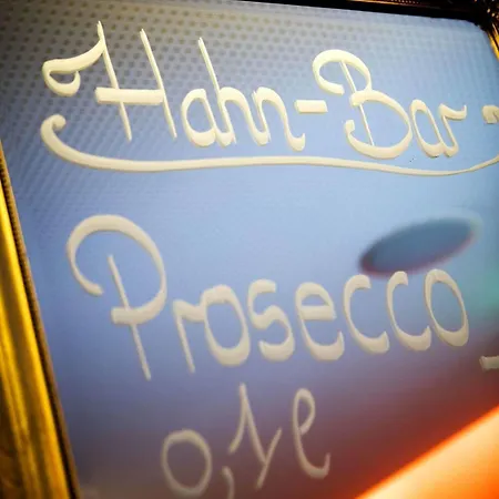 Hahn فندق 3*