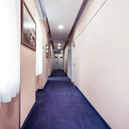 Aurellia Vienna