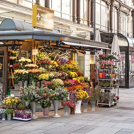 Calmo Vienna