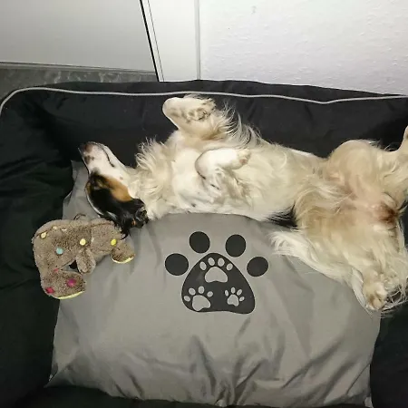 Appartamento Felicitas