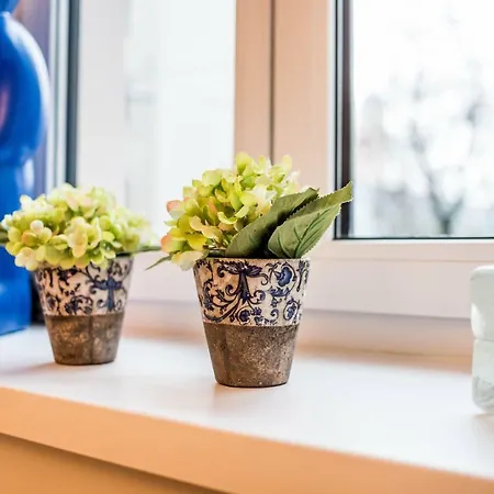 Apartament Leuhusen Orange Viena