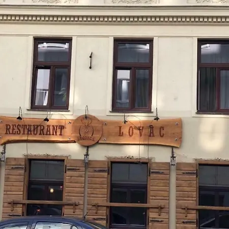 Lovac Apartment Vienna