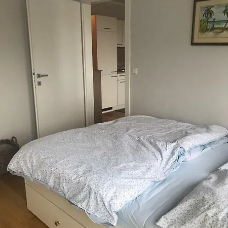 Modern With Balcony Apartament