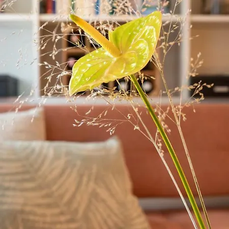 Apartament Vienna. Your Second Abroad *