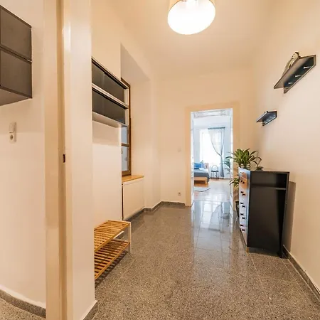Apartment 85m² Leitermayergasse *