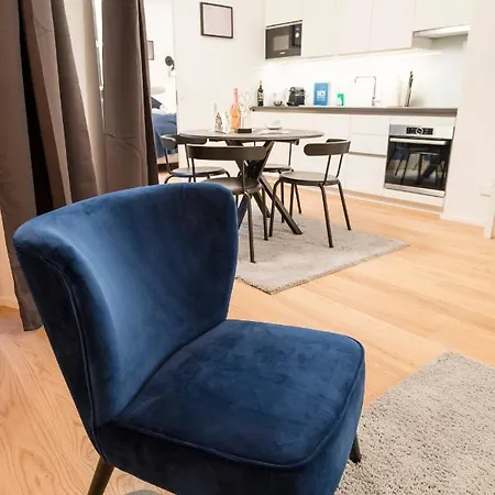 Apartment Luxury Renngasse Vienna