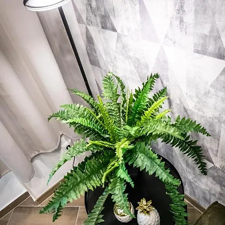 Apartment Zeus Design *