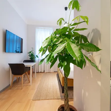 Casa Mama