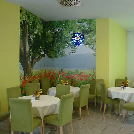 Hotel Lenas Donau 3*