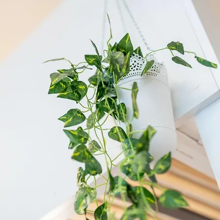 Cozy Modern Nest In The Heart Of With Netflix Apartament *