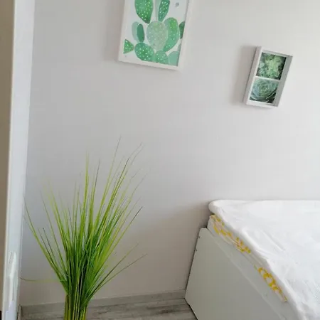 Apartament Dino *