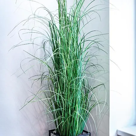 Appartement Cozy + Trendy By Jr