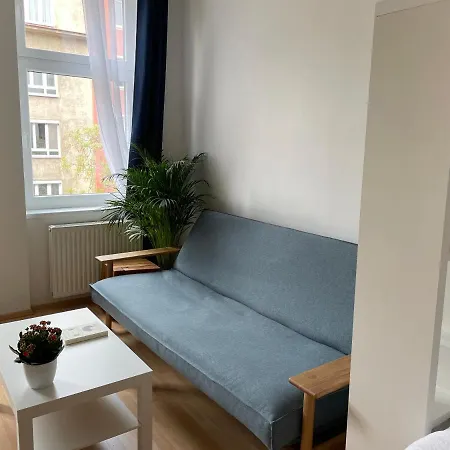 Central Sunny Flat With Free Parking Apartment