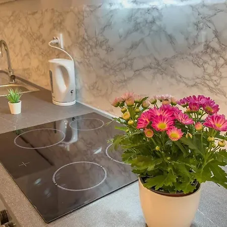 Cosy Studio Near Central Station Apartment