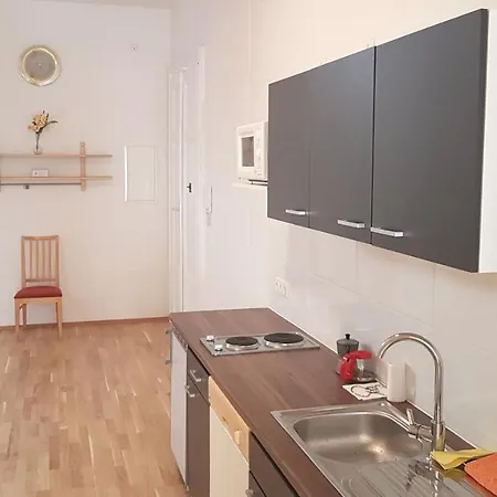Apartment Sobieski Inner Ring *