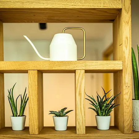 D&v Living Apartment Vienna