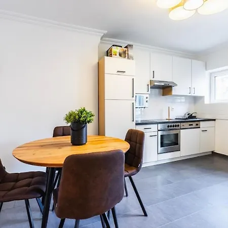 Experience From A Stylish And Modern Apartment Vienna