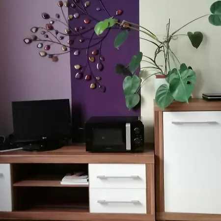 Apartman Operngasse-karlsplatz *