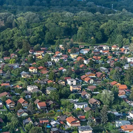 Over The Roofs Of *