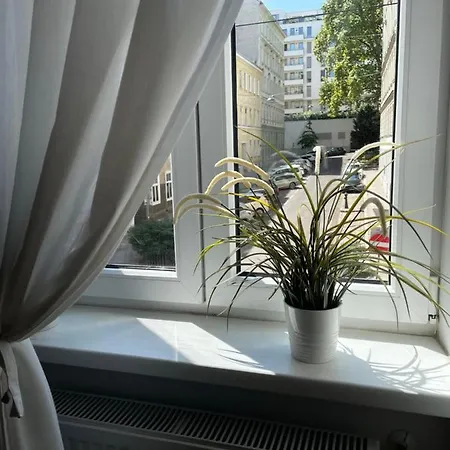 Cozy Near Center Viena
