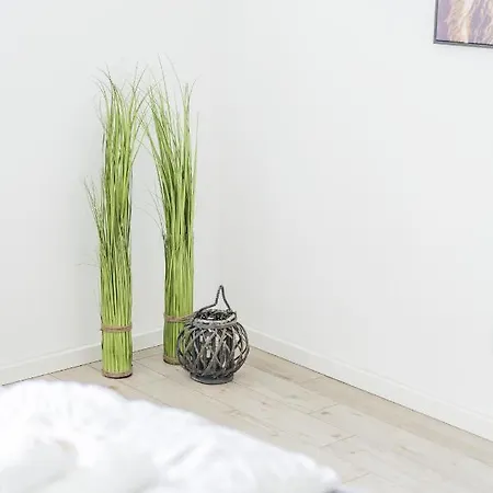 Schonbrunn Apartment *