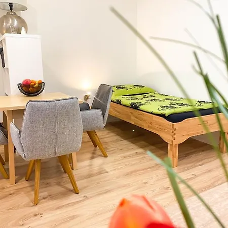 Senator Flat Paulusgasse Apartment Vienna