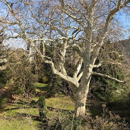 Garni Das Pallottihaus *