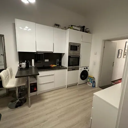 Comf. Apart Near The - 13 Minutes To 1st Apartment