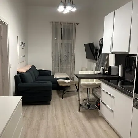 Comf. Apart Near The - 13 Minutes To 1st Apartment