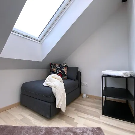 Apartment Stilvolle Dachgeschosswohnungen Mit Balkon In Innenstadt Naehe