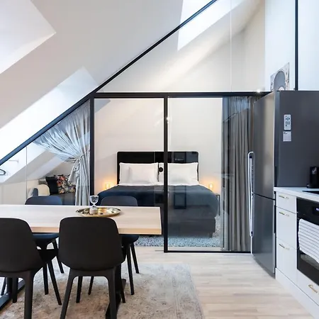 Stilvolle Dachgeschosswohnungen Mit Balkon In Innenstadt Naehe Vienna