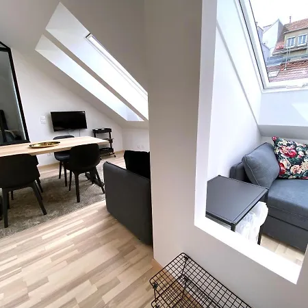 Apartment Stilvolle Dachgeschosswohnungen Mit Balkon In Innenstadt Naehe