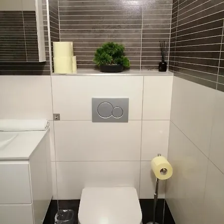 Apartment Tesla