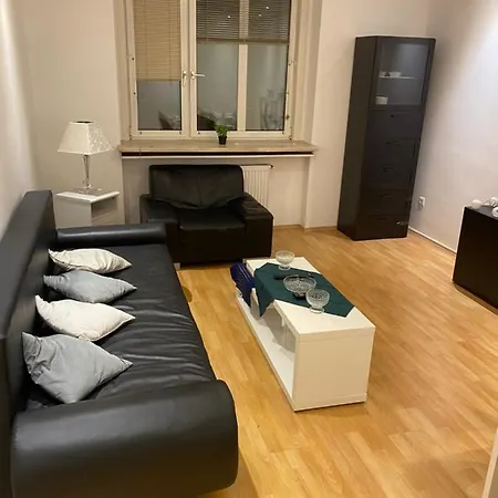 Grosszugiges 2-br-apt Im Zentrum Apartment