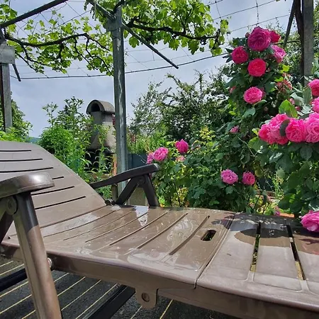 Naturgespuer In *