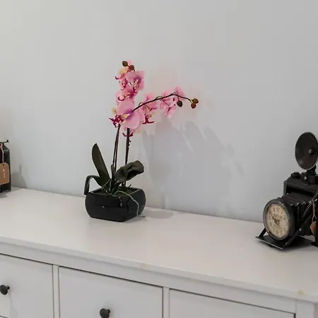 Apartment Designer Vienna