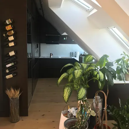 Apartmán Grosszuegiges Dachterrassen-appartment Mit Klimaanlage Und Wunderbarem Ausblick *