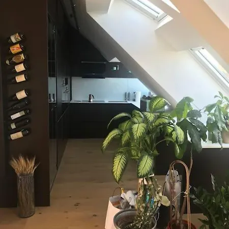 Grosszuegiges Dachterrassen-appartment Mit Klimaanlage Und Wunderbarem Ausblick Apartmán *