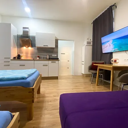 Senator Flat Paulusgasse Apartment *