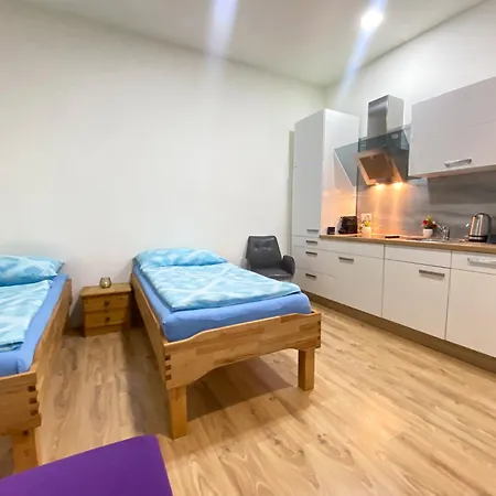 Senator Flat Paulusgasse Apartment Vienna