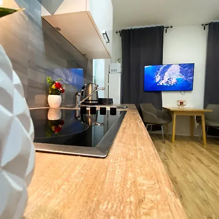 Apartment Senator Flat Paulusgasse *