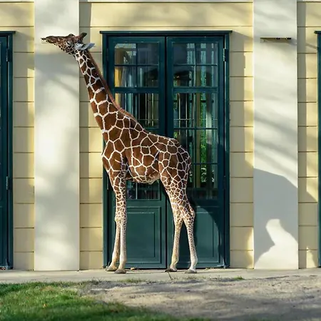 Kaiser By Alpenluxus Mit Pool&tiefgaragenstellplatz *
