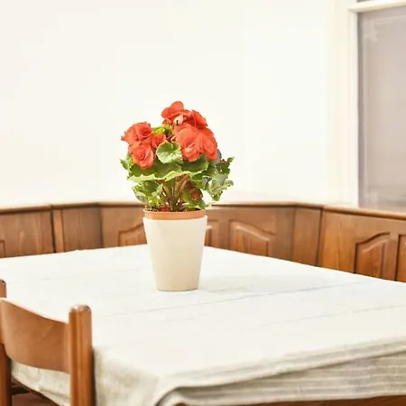 Charming Spacious Vienna