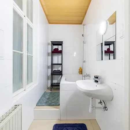 Charming Spacious Apartment Vienna