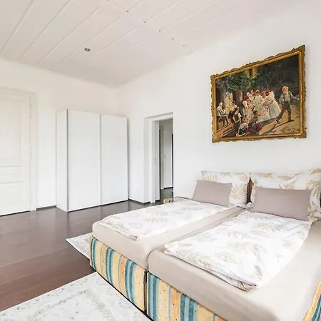 Charming Spacious Vienna