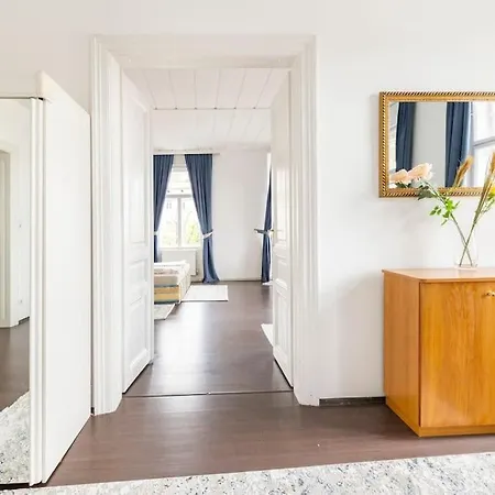 Charming Spacious Vienna